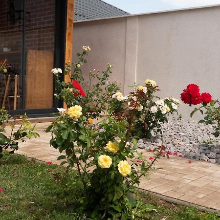 Casa Lucan Braşov Esterno foto