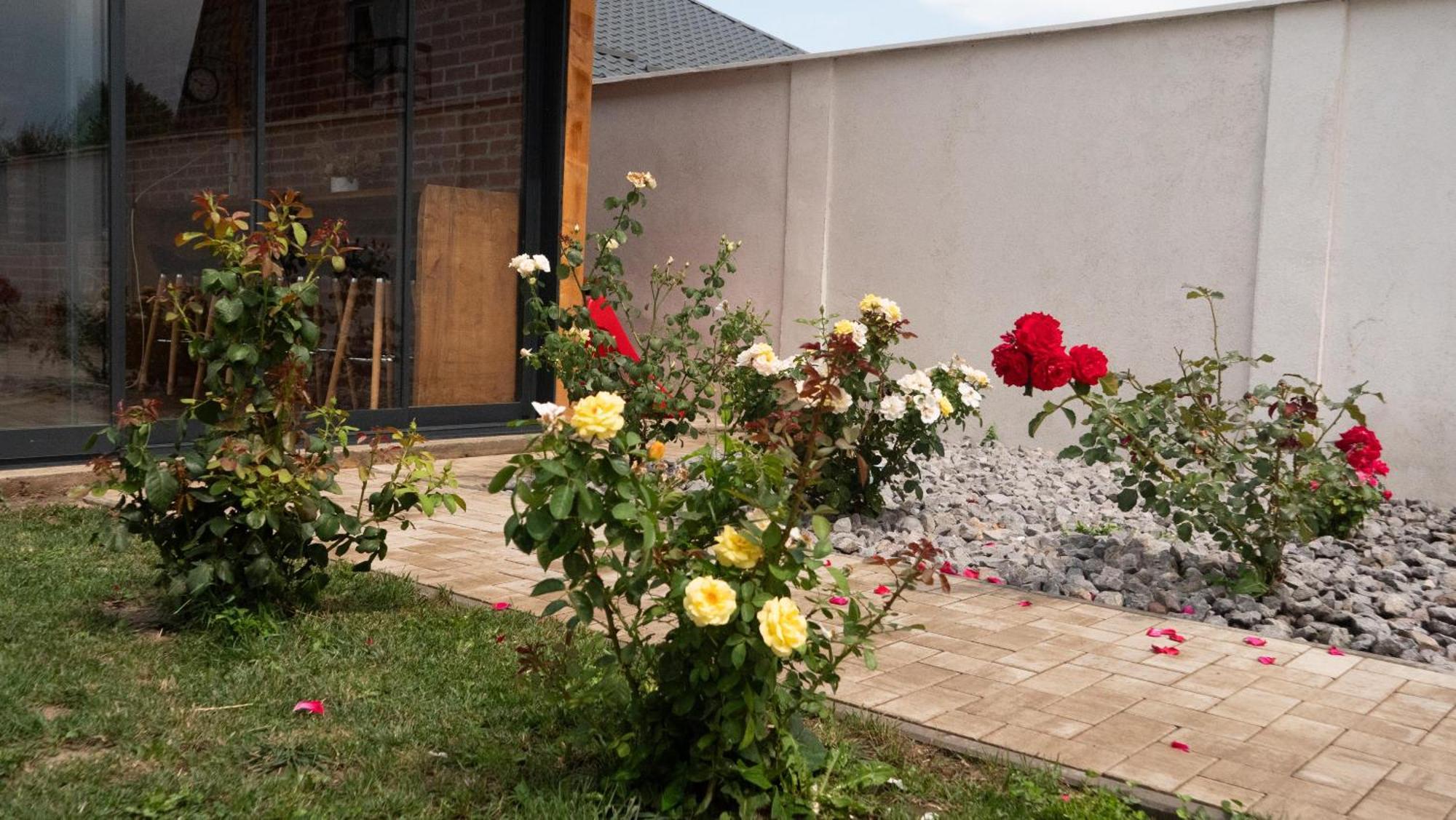 Casa Lucan Braşov Esterno foto